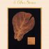 The Schoolmaster & Other Stories